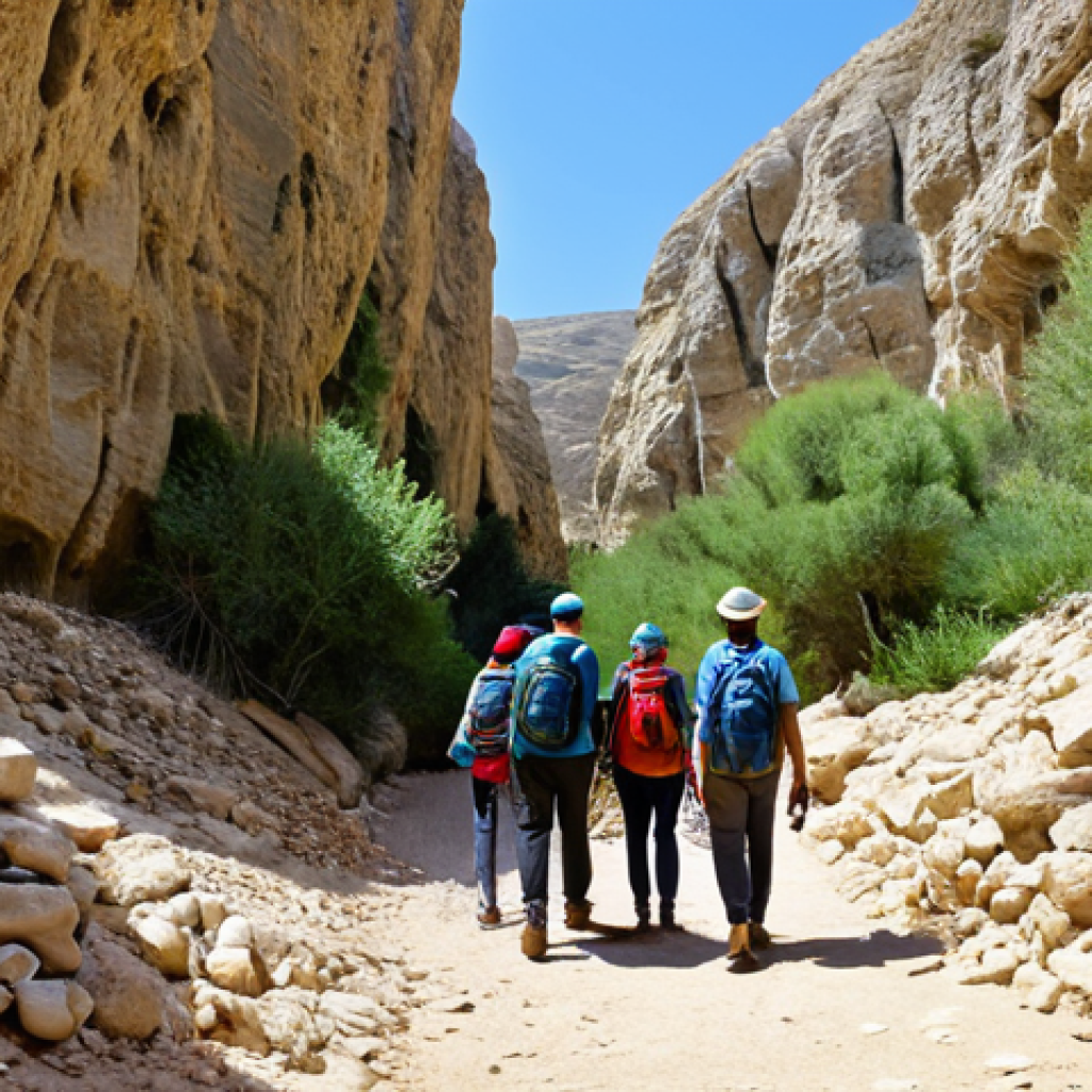 **

A group of Italian tourists, fully clothed in hiking gear, exploring a hidden canyon in the Israeli desert. The scene includes towering rock walls, clear blue sky, and lush vegetation near a natural spring. Appropriate attire, safe for work, perfect anatomy, correct proportions, professional photography, high quality, family-friendly.

**