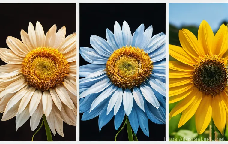 이스라엘에서의 사막 캠핑 - Here are three detailed image prompts in English, adhering to all the specified guidelines: